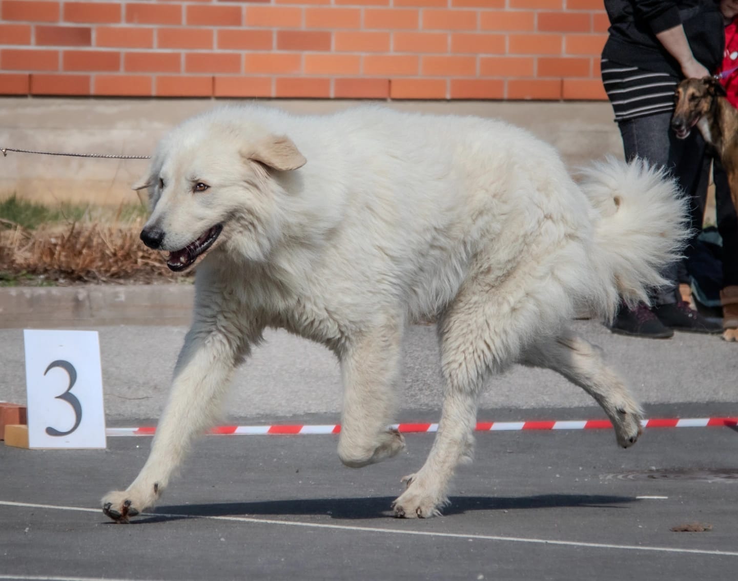 Kuva: Heidi Valtanen